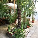 Palmera Apartment *