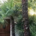 Lejlighed Palmera