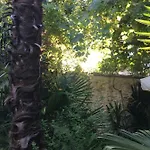 Palmera * Mostar