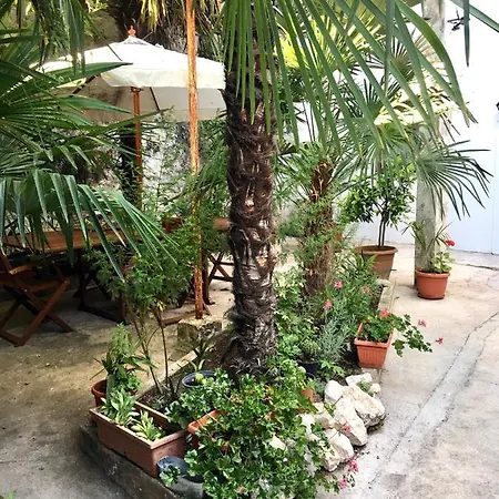 Palmera アパート *