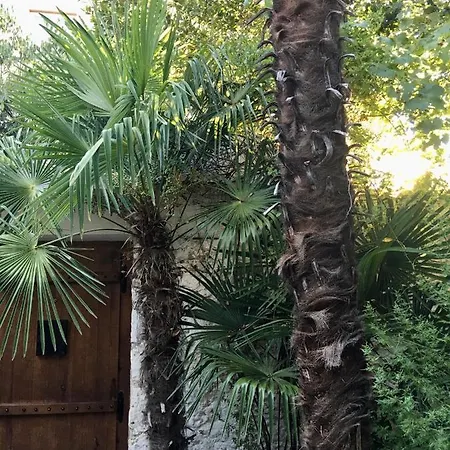 アパート Palmera