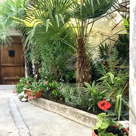 Palmera Apartment