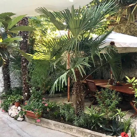 Palmera * Mostar