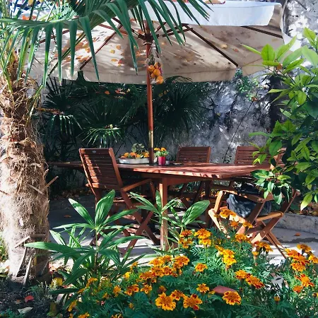 Palmera Daire Mostar