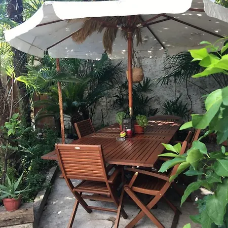 Apartment Palmera *