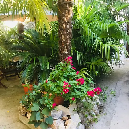 Palmera 公寓 莫斯塔尔