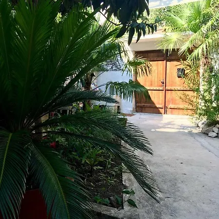 Apartment Palmera