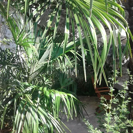 Palmera * Mostar
