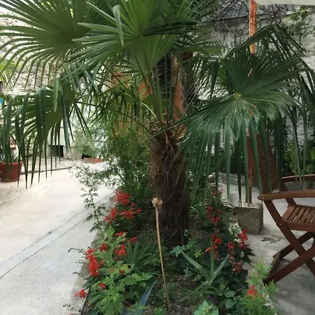 Palmera Apartment