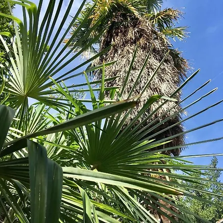 Palmera Apartment *