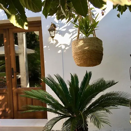 Palmera Apartment