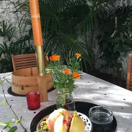 Palmera Mostar