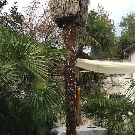 Palmera Apartament *