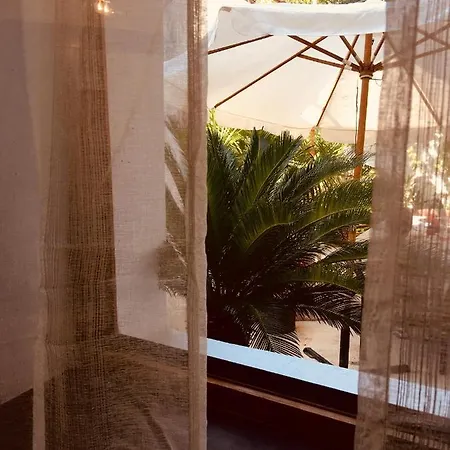 Palmera * Mostar