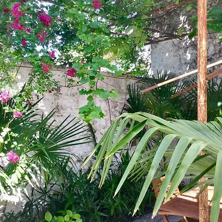 Palmera Apartment *
