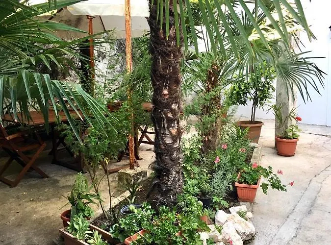 Palmera Apartamento *