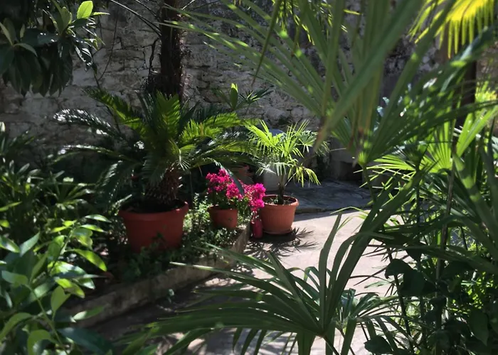 Palmera Apartamento *