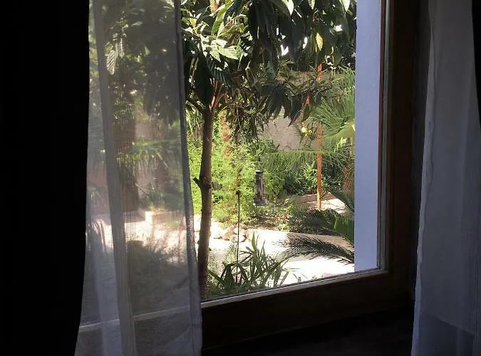 Palmera Apartamento *