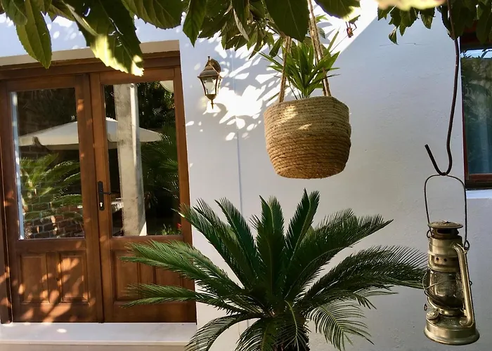 Palmera Lejlighed